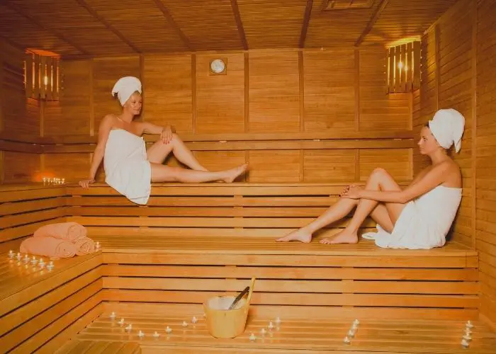 best portable infrared sauna