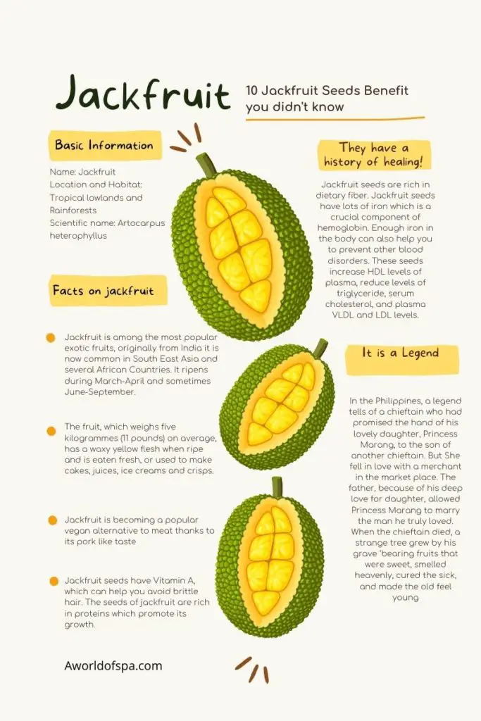 Jackfruit Seeds Benefits