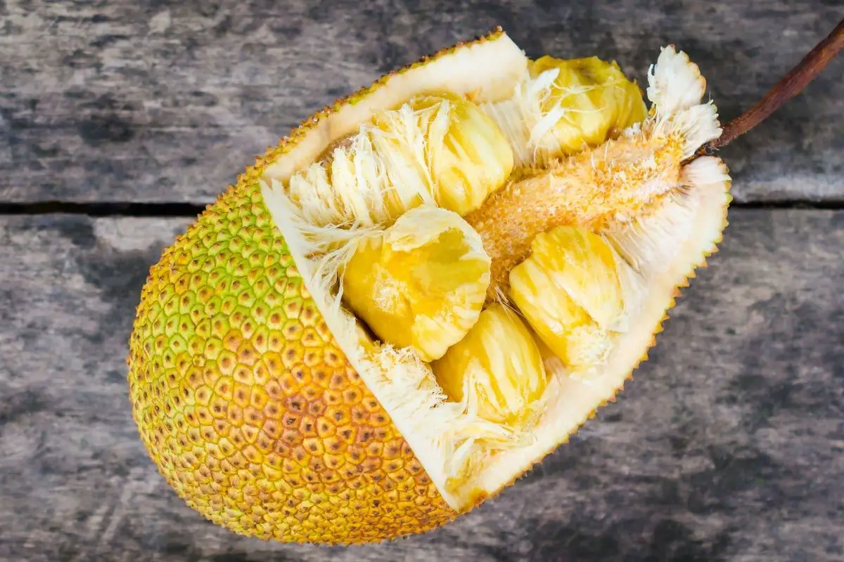 jackfruit seeds benefit