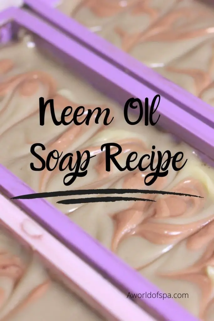 neem oil soap recipe