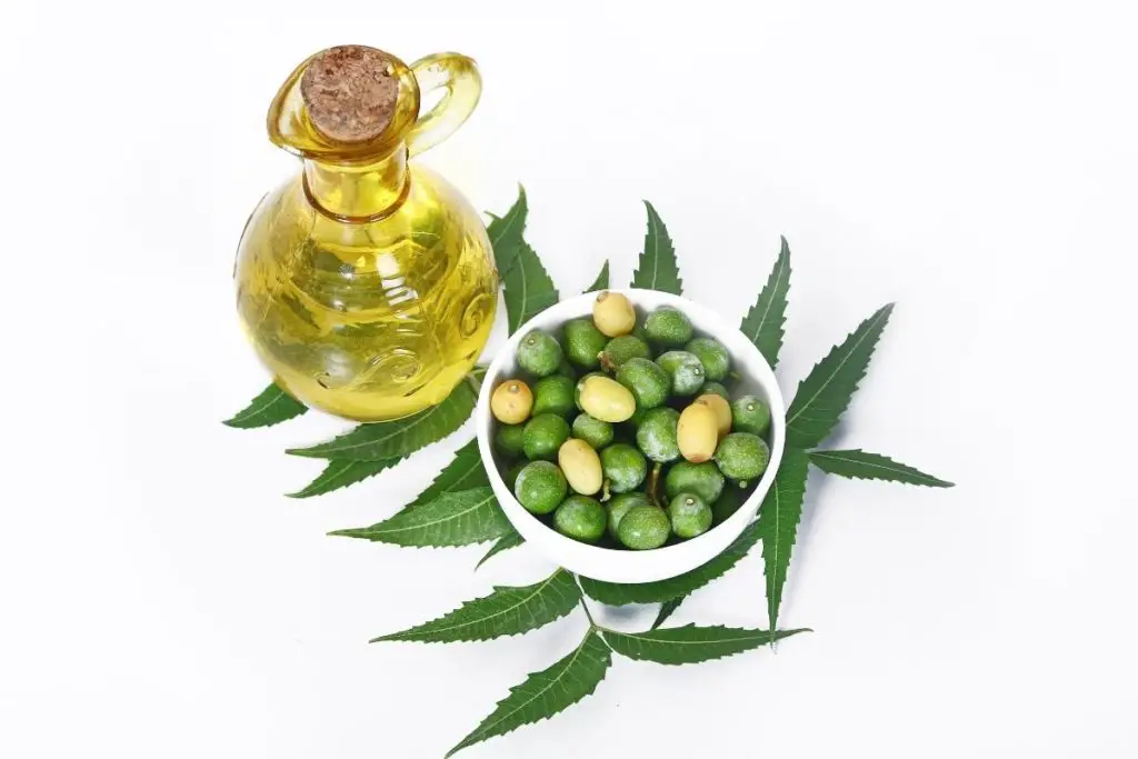 neem oil for skin benefits