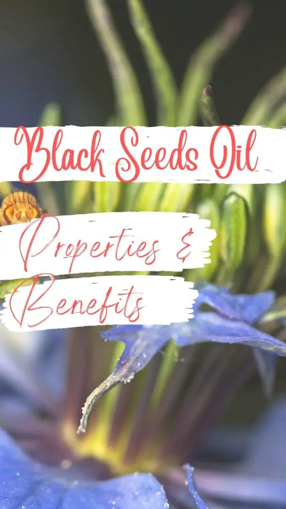 black seeds oil benefits